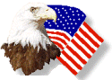 eagle-usa flage image